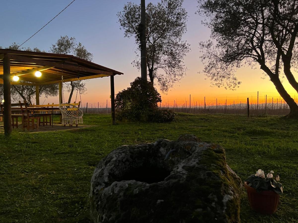 Agriturismo Tenuta Roccaccia Pitigliano Bagian luar foto