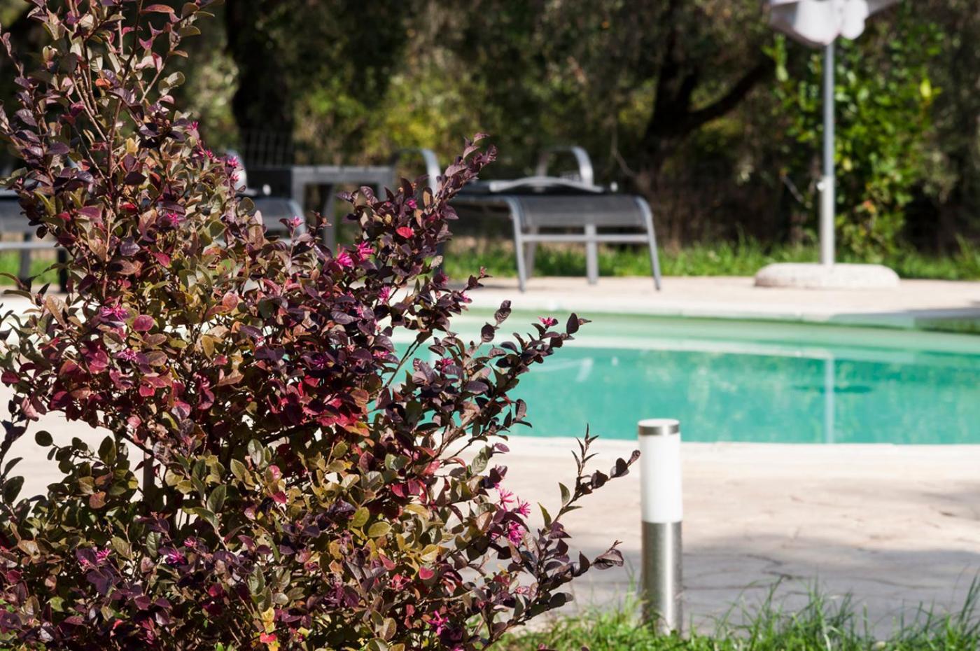 Agriturismo Tenuta Roccaccia Pitigliano Bagian luar foto